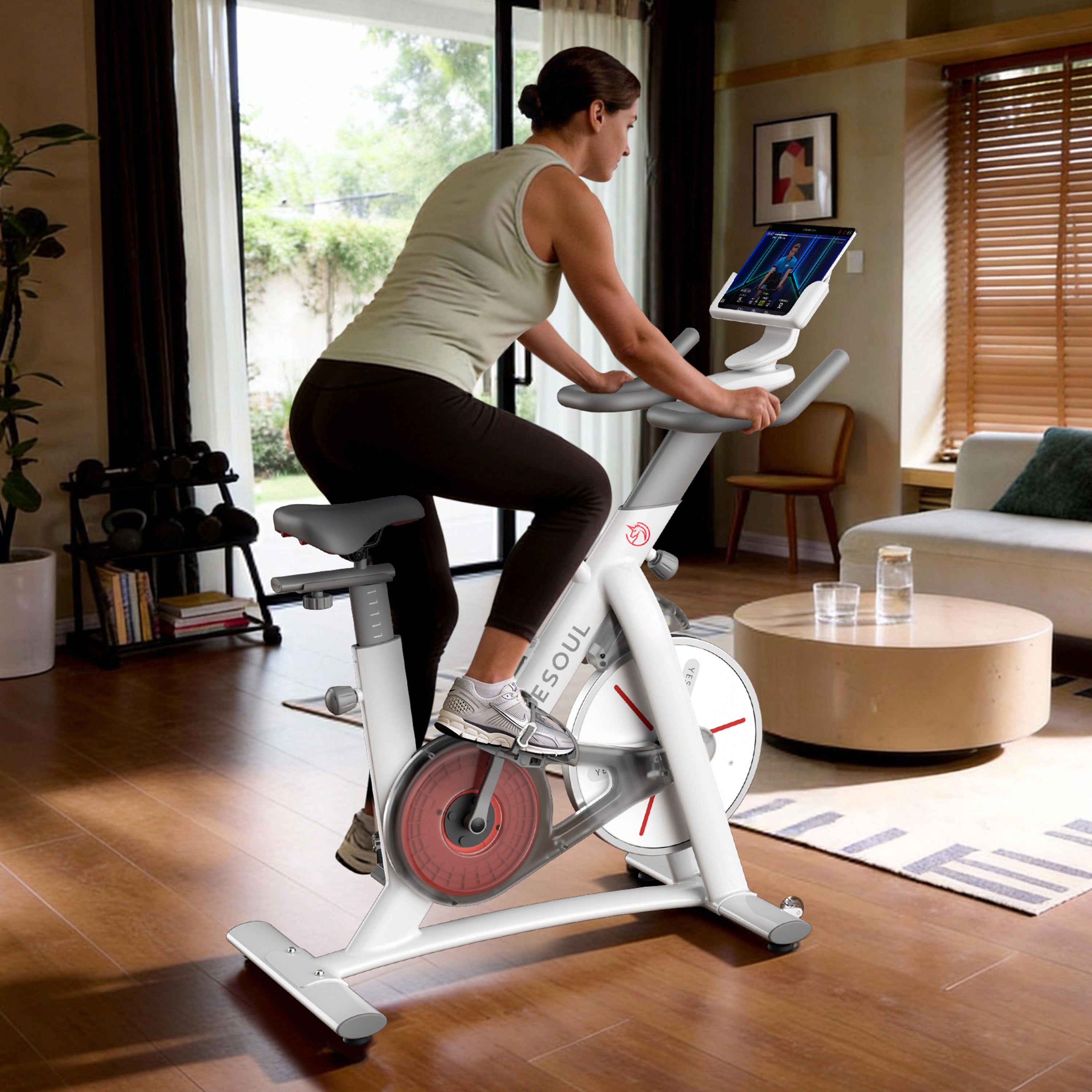 YESOUL S3 Indoor-Heimtrainer (EU-Norm)