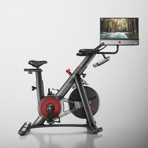 Yesoul G1M Plus Bike(€499)